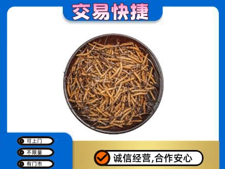 鞍山回收散虫草